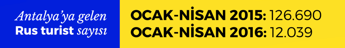 1-hWYvDhT_nCOW8Q06cgGc2w